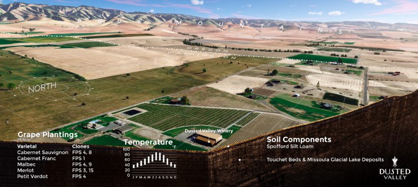 Sconni Block Vineyard Map