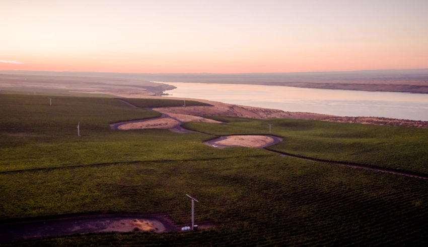 McNary Vineyard, Horse Heaven Hills