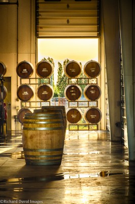 Light in the winery