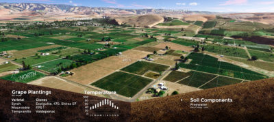 Stoney Vine Vineyard Map