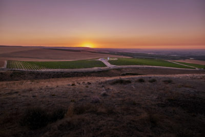 Southwind Vineyard, Harvest 2017