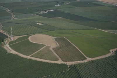 Olsen Vineyard Aerial Photo