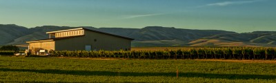 Dusted valley winery
