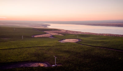 McNary Vineyard, Horse Heaven Hills
