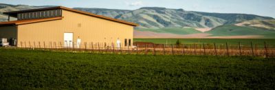 Dusted Valley Winery