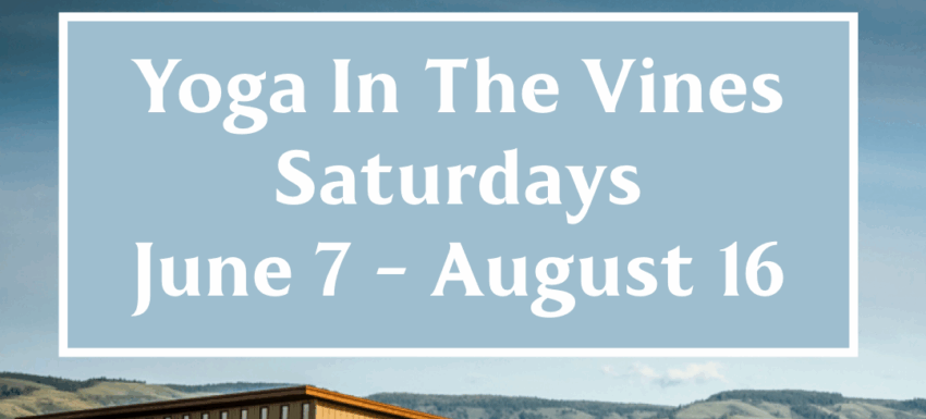 yoga in the vines
